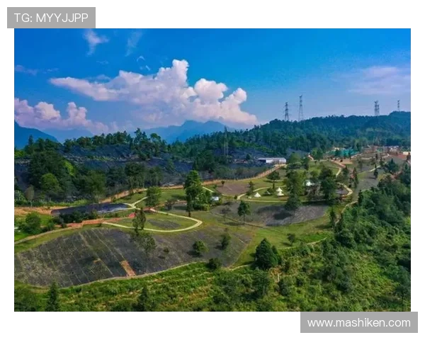 会理娱乐场所的未来发展趋势与创新策略，助力行业持续繁荣