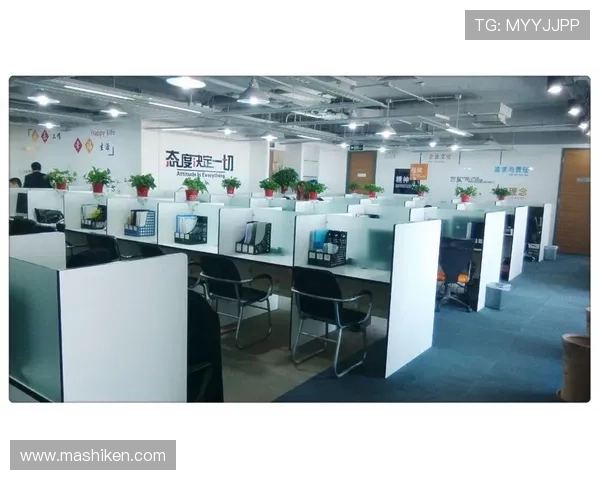 如何通过悦凯娱乐市值变化判断公司财务健康状况及未来增长潜力的实用指南