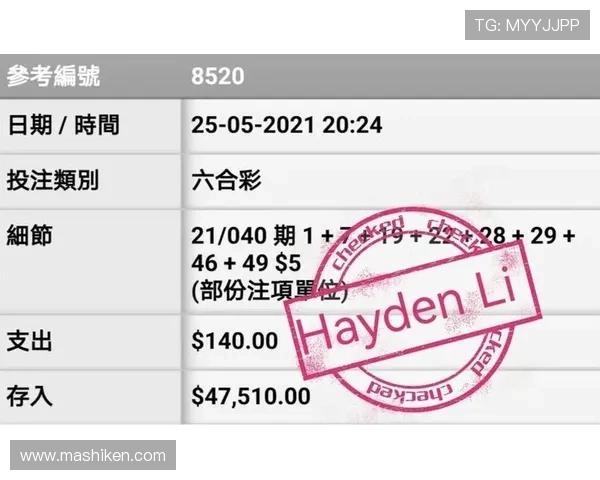 探索六合彩网页版最新开奖数据，实时追踪中奖号码与历史记录