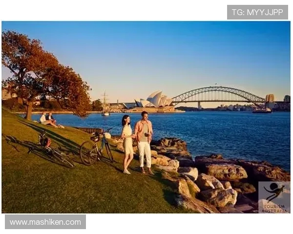 探索维多利亚网娱乐丰富的游戏内容与多样化的娱乐互动方式